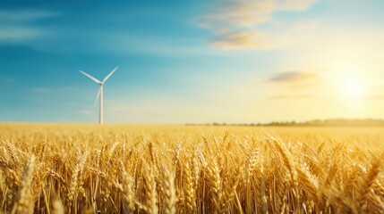 Wheat Field with Wind Turbine Under Blue Sky
