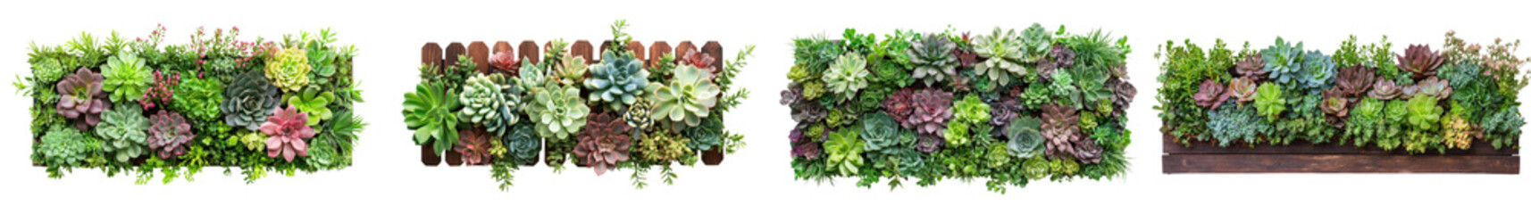Vibrant Vertical Succulent Garden Wall Decor For Eco Friendly Interior Design
