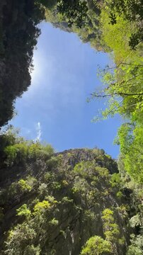 Emerald cave in Ko Muk or Koh Mook, Trang, Thailand, featuring a heart or diamong shape under a clear blue sky and surrounded by karst cliffs and tropical trees