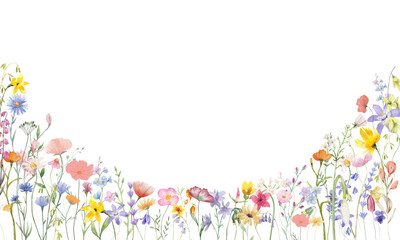 Watercolor meadow flowers border of poppy, chamomile, buttercup, campanula and sage. Hand painted floral card of wildflowers isolated on white background. Illustration for design, print, background