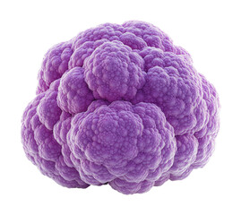 Intricate cluster of purple cellular formations displaying the beauty of microscopic life in a vibrant hue isolated on transparent background