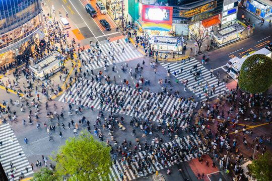 Aerial view of Shibuya pedestrian crossing crowded at night, Tokyo, Japan