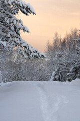 winter landscape in the mountains