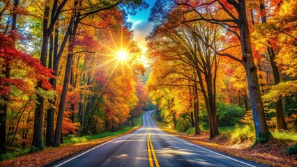 Obraz premium Scenic Country Road Through Woods - Vibrant Colors, Deep Mood