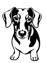 Fototapeta premium Dachshund dog illustration icon, black silhouette vector