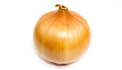 Fresh yellow onion isolated on white background