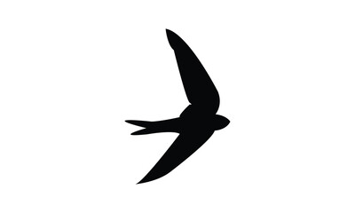 Flying Black Swift Bird Silhouette Design  And Vector Illustration. 