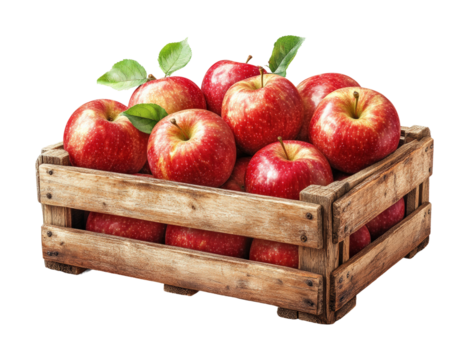 Freshly harvested red apples in a rustic wooden crate ready for the market on a sunny autumn day isolated on transparent background - Powered by Adobe