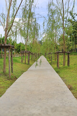 View of traditional Japanese garden with walk pathway.