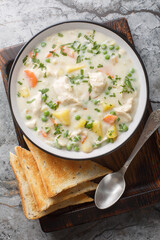 Chicken Pot Pie Soup is hearty, comforting and perfect for a busy weeknight meal closeup on the plate on the table. Vertical top view from above