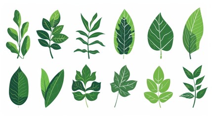 Collection of Vibrant Green Leaves