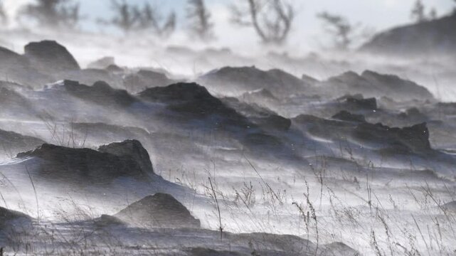 A snowstorm and a winter landscape on rocky mountain slope with bare trees