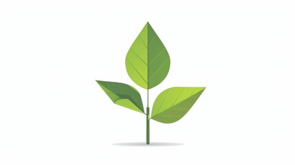 Fototapeta premium Elegant Green Leaves Design
