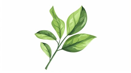Delicate Green Leaf Branch Illustration