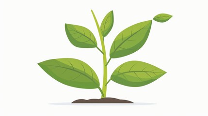 A Vibrant Green Plant Sprout