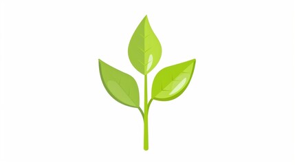 Fresh Green Leaves Illustration