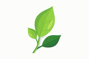 Fototapeta premium Fresh Green Leaves Illustration