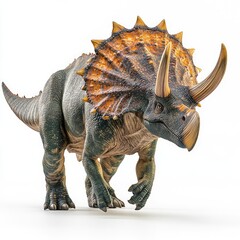Fototapeta premium Triceratops dinosaur walking, prehistoric creature, isolated white background, educational illustration
