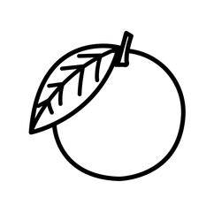 illustration of orange