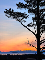 beautiful red orange sky at sunrise or sunset. tree silhouette. lake and island in the distance