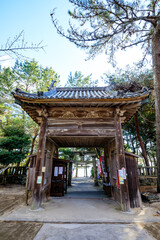 Fototapeta premium 冬の八幡奈多宮 大分県杵築市 HachimanNada Shrine in winter. Ooita Pref, Kitsuki City.