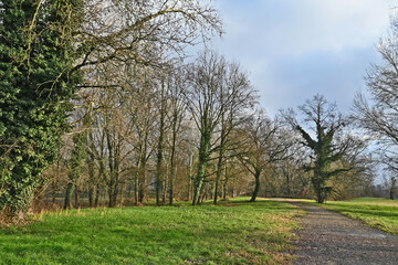 Inverno in Lombardia, campagna, giardini e bosco del lago di Basiglio e Milano 3