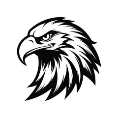 Eagle head vector illustration