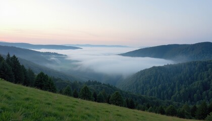 Fototapeta premium Breathtaking Morning View: Grassy Hillside, Tall Trees, and Rolling Hills Under Soft Sunrise Light