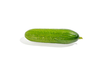 A green cucumber is on a white background. It is long and thin. The cucumber is not cut Cucumbers on transparent background png format.