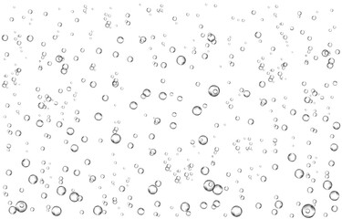 Oxygen air bubbles  flow  in water on white  background.