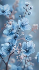blue flowers in the garden