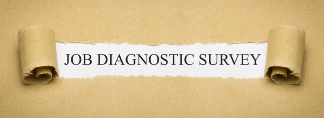 Job Diagnostic Survey