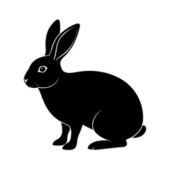 rabbit isolated on white