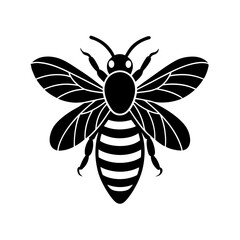 bee on white background