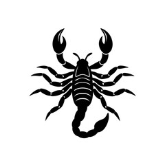 scorpion isolated on white