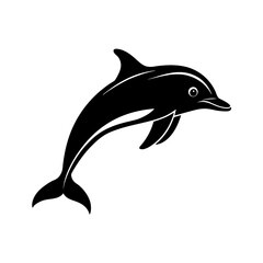 dolphin isolated on white background