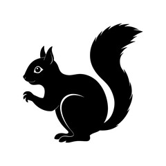 squirrel on a branch