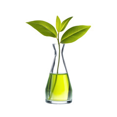 Green plant sprout in glass vase, studio shot, white background, nature product concept
