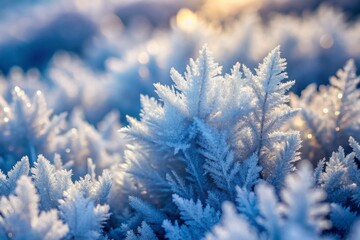 Naklejka premium Dreamy Winter Frost: Raw, Commercial Stock Photo
