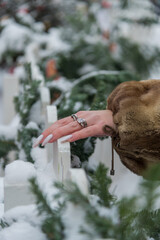 Elegant hand adorned with rings gently touches snow-covered greenery in a winter setting