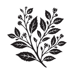 Elegant Silhouette Botanical Branch Illustration