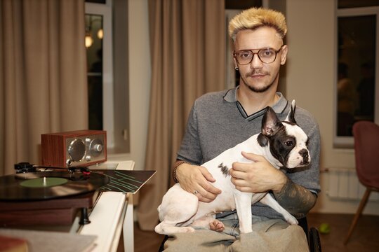 Portrait in warm tones of calm adult man using wheelchair holding adorable pied French bulldog on lap looking at camera captured in cozy living room with vinyl records, camera flash, copy space