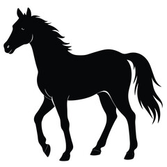 Horse silhouette isolated on white background