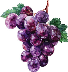 bunch of grapes isolated on white on white background,generative ai