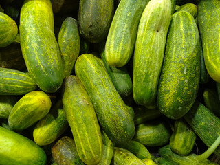 Cucumber is a nutritious fruit with a high water content. Group cucumber background (Cucumis sativus). Cucumber News in Bengali, Videos and Photos about Cucumber.