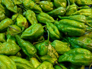 Green hot Bhut Jolokia chilli peppers