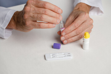 Veterinary Rapid test in vet hands