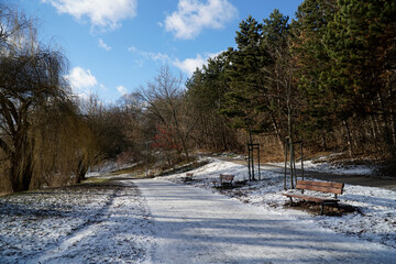 Footpath with wooden benches in park, snow on ground - winter season