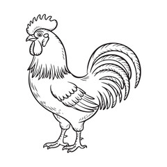 Elegant Rooster Line Art: Perfect for Coloring and Farmhouse Decor