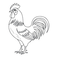 Elegant Rooster Line Art: Perfect for Coloring and Farmhouse Decor